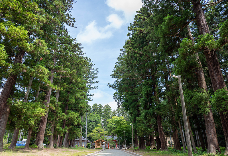 賀茂神社