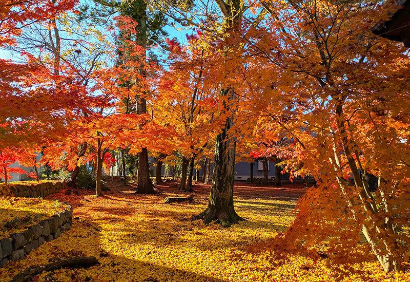 陀羅尼八幡神社
