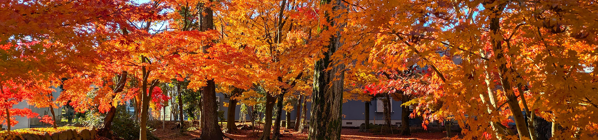 陀羅尼八幡神社