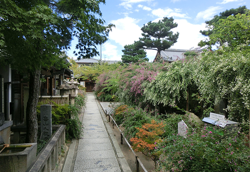 東光院 萩の寺
