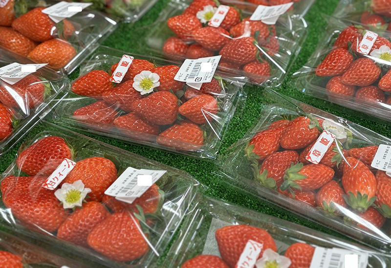 道の駅とうじょう