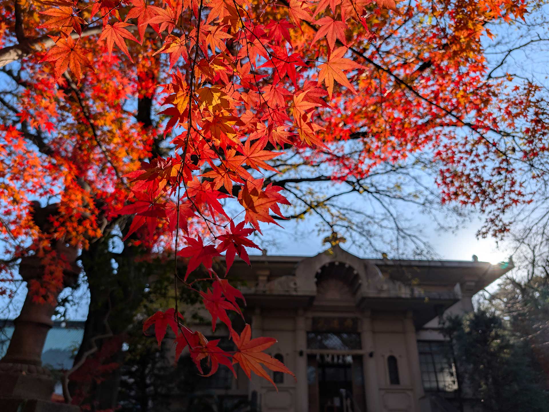 開運 富士 毘沙門天（妙法寺）