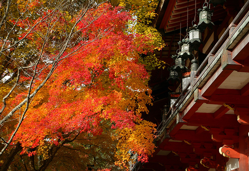 談山神社
