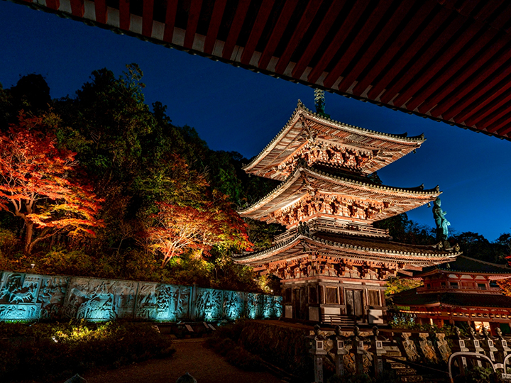 奈良】一度は行きたい！おすすめの神社仏閣
