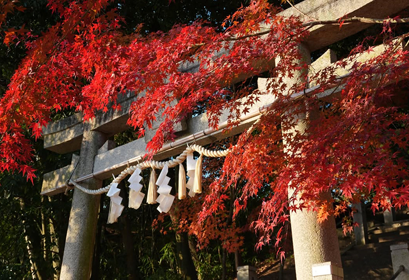 貴舩神社
