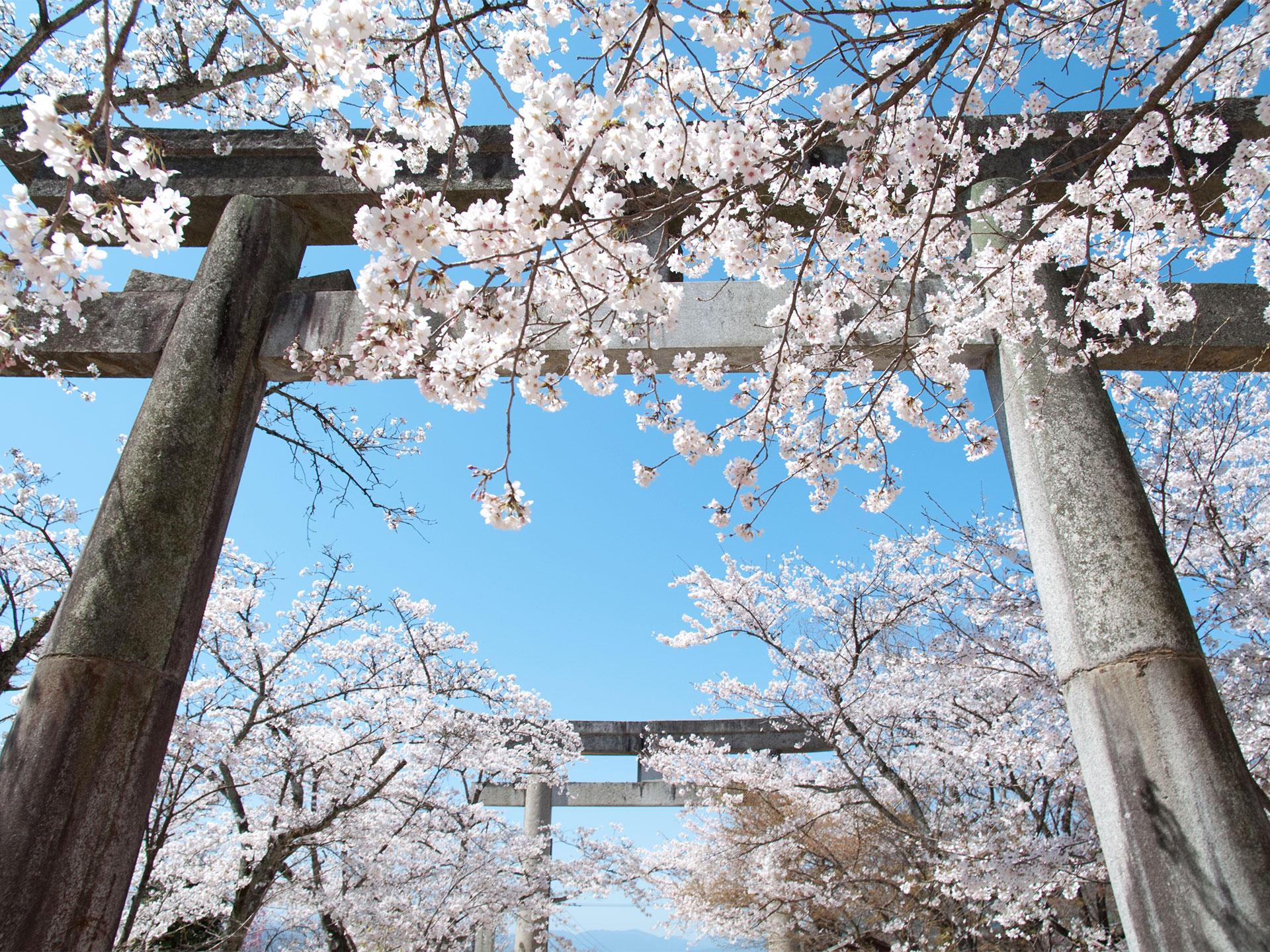 宝満宮 竈門神社