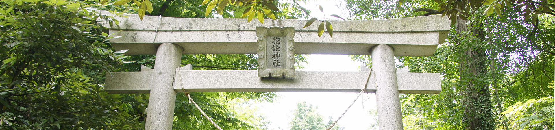 胞姫神社