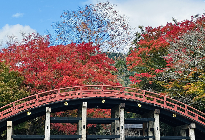 丹生都比売神社