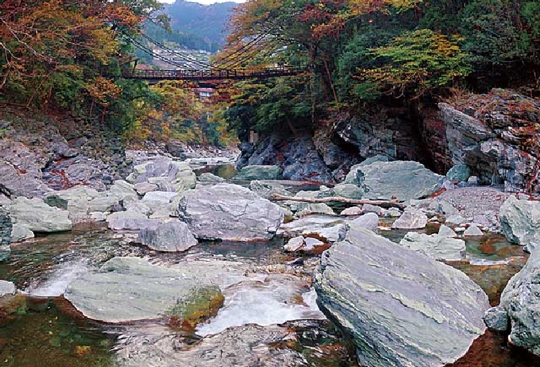 祖谷のかずら橋