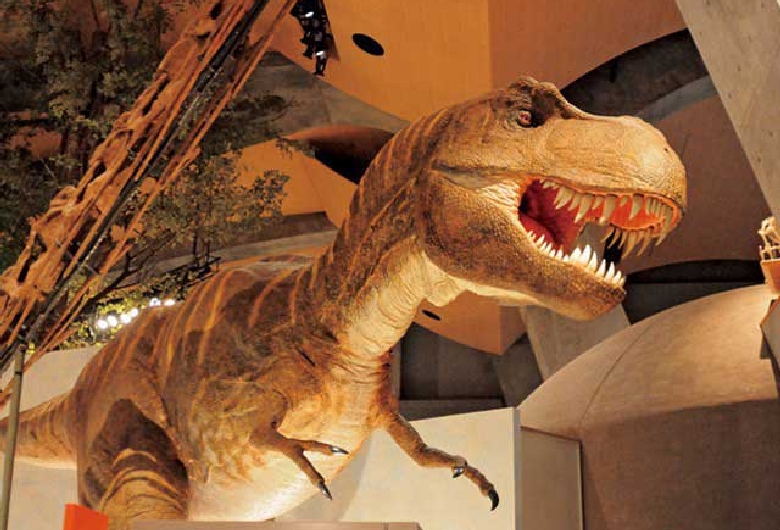 群馬県立自然史博物館