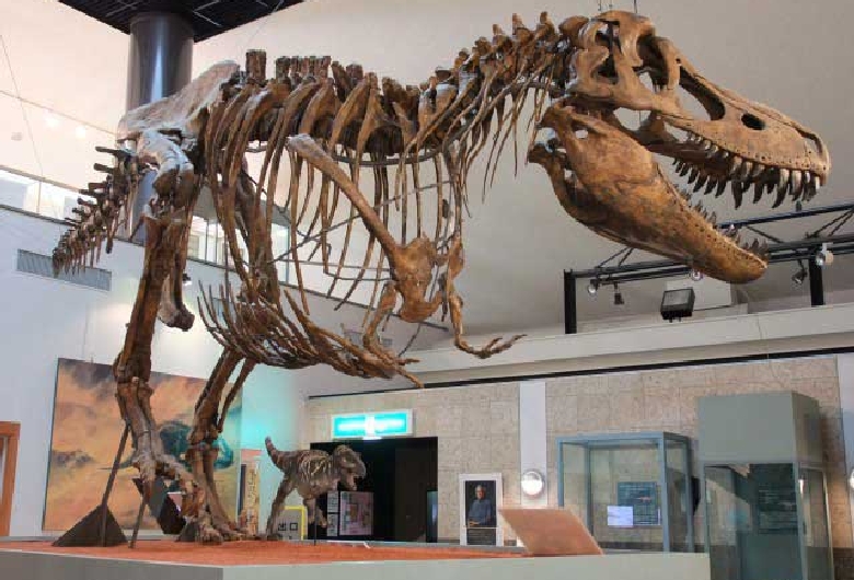 神流町恐竜センター