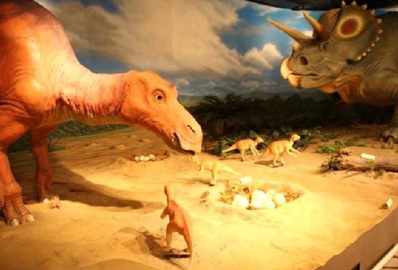 新潟県立自然科学館