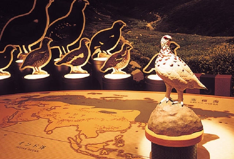 富山県立山センター立山自然保護センター