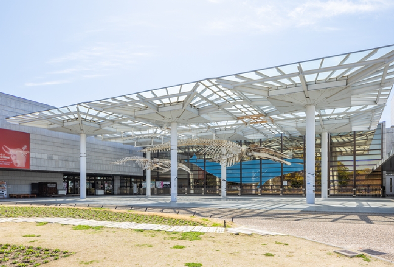 大阪市立自然史博物館