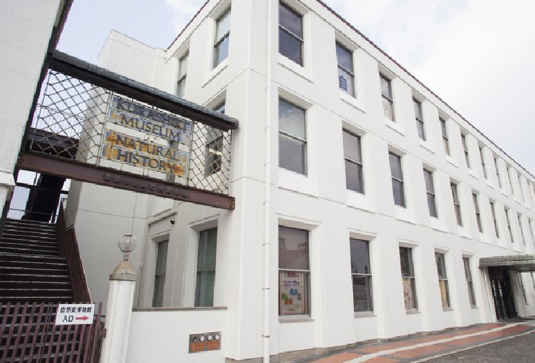 倉敷市立自然史博物館