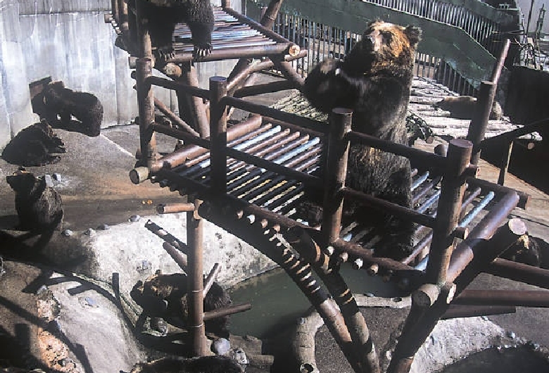 のぼりべつクマ牧場