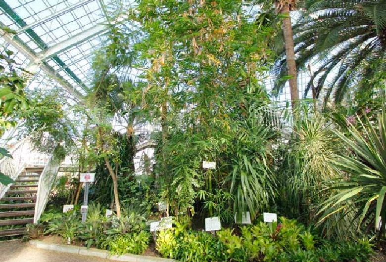 函館市　熱帯植物園