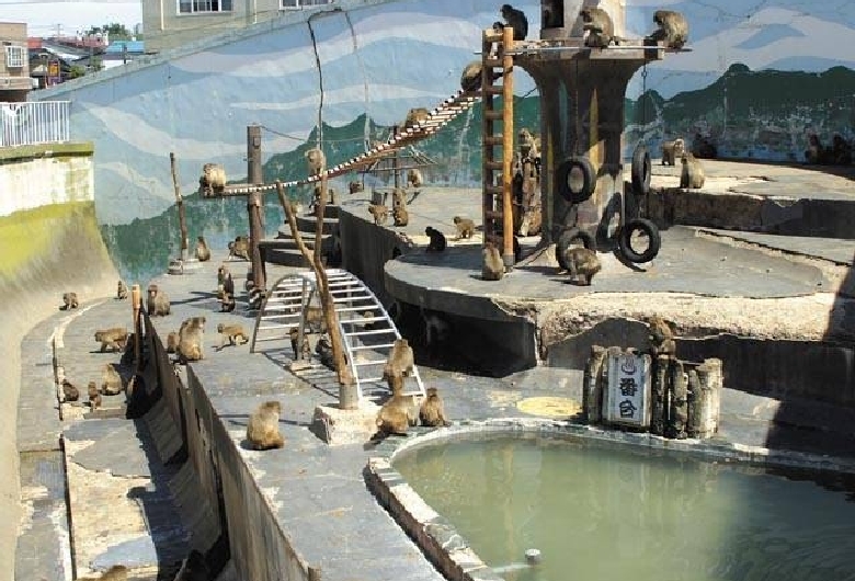 函館市　熱帯植物園