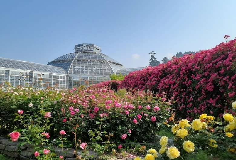 ＡＳＯ　ＭＩＬＫ　ＦＡＣＴＯＲＹ