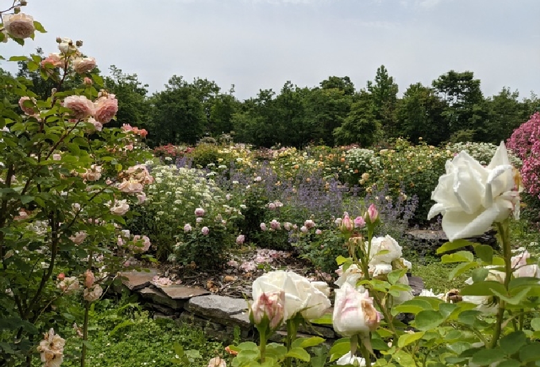 ＡＳＯ　ＭＩＬＫ　ＦＡＣＴＯＲＹ