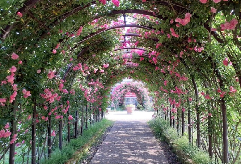 ＡＳＯ　ＭＩＬＫ　ＦＡＣＴＯＲＹ