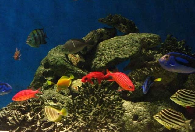 和歌山県立自然博物館