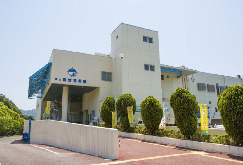 和歌山県立自然博物館