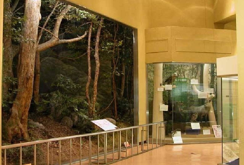 和歌山県立自然博物館