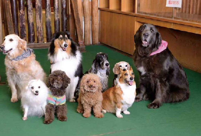 天保山マーケットプレース