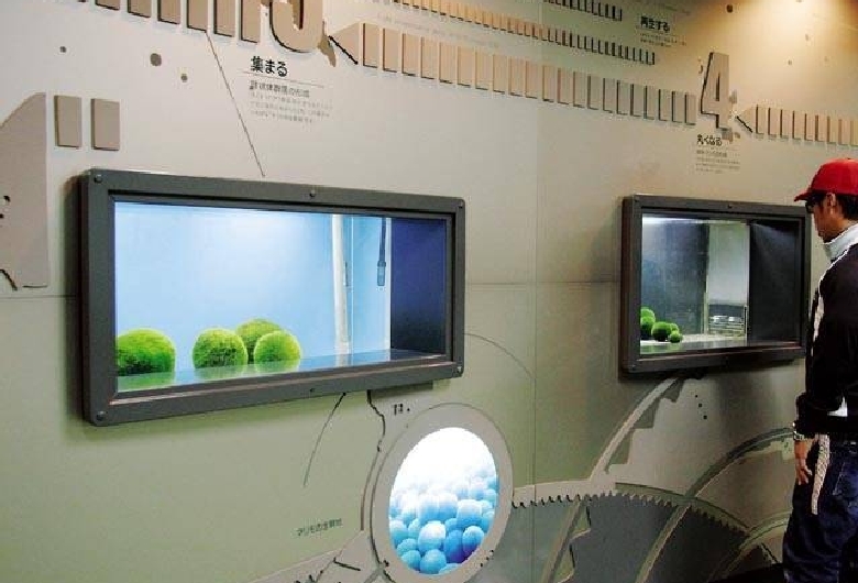 マリモ展示観察センター