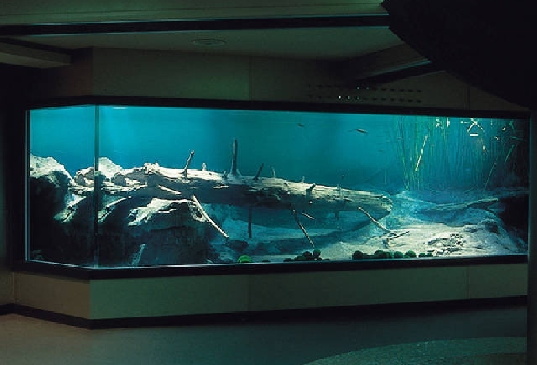 マリモ展示観察センター