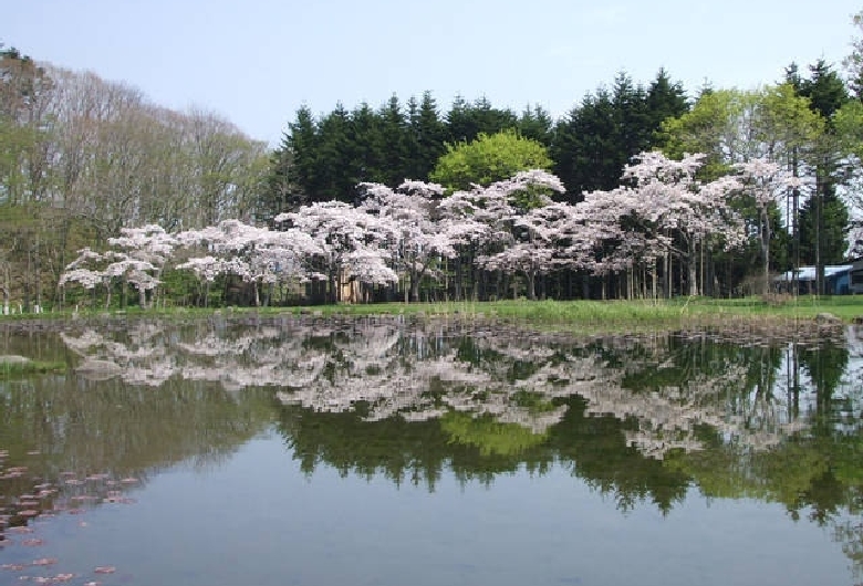 長万部公園キャンプ場