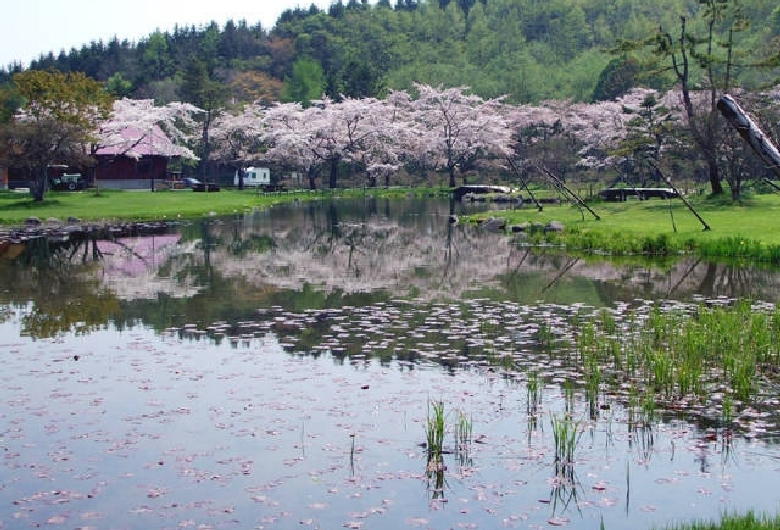 長万部公園キャンプ場