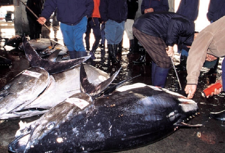 塩釜水産物仲卸市場