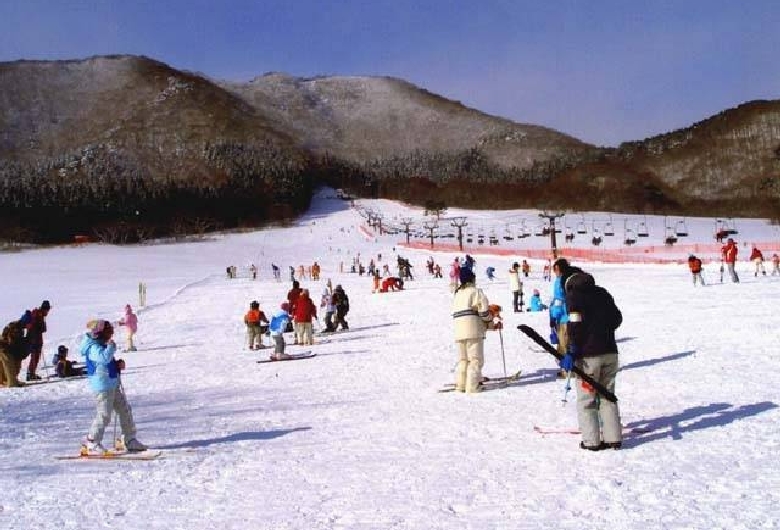 やくらいファミリースキー場