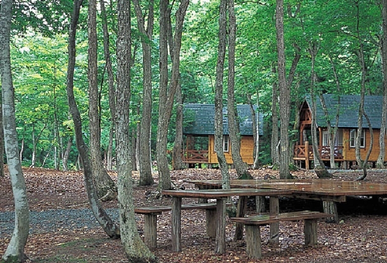 ぽよよんの森オートキャンプ場