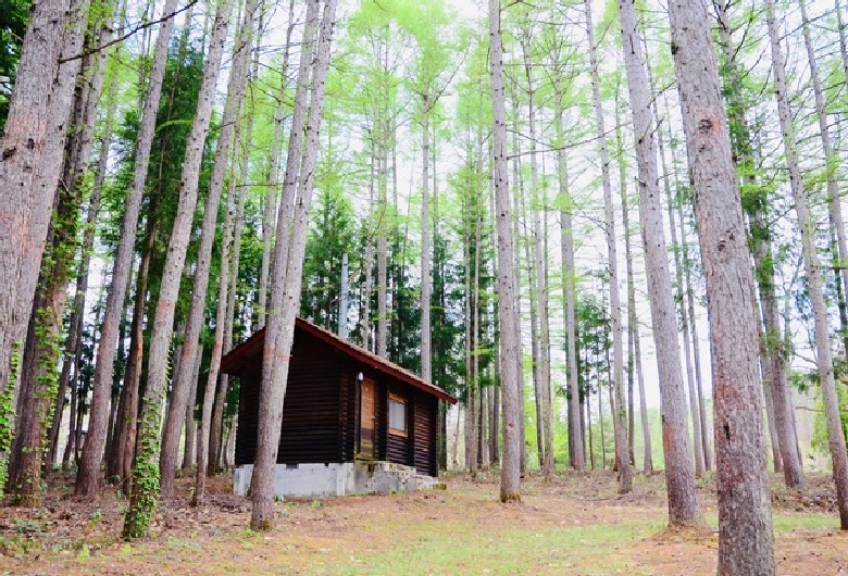 奥会津昭和の森キャンプ場