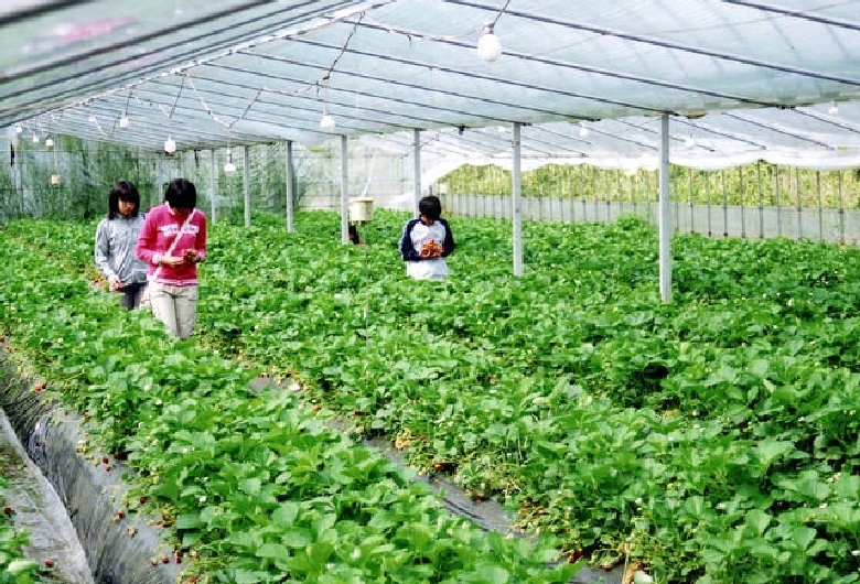 田の上キャンプ場
