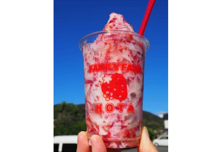 ファミリーファーム保田