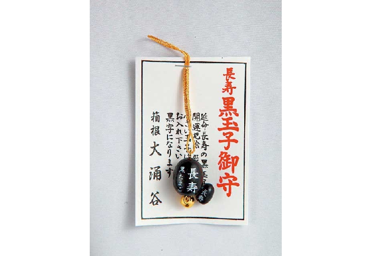 大涌谷くろたまご館