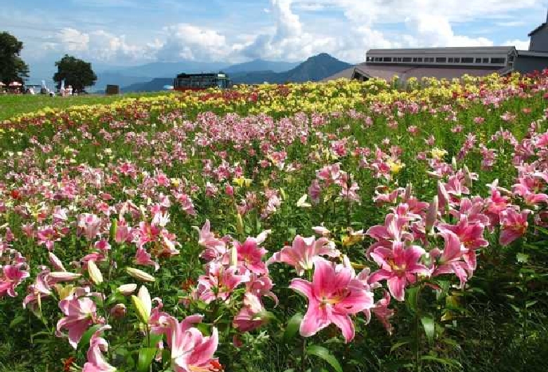 湯沢高原ロープウェイ