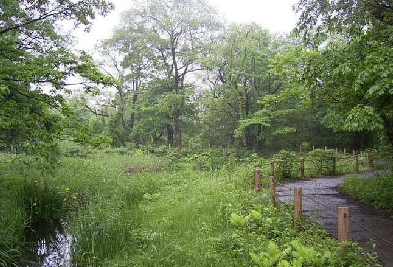 墓ノ木自然公園キャンプ場