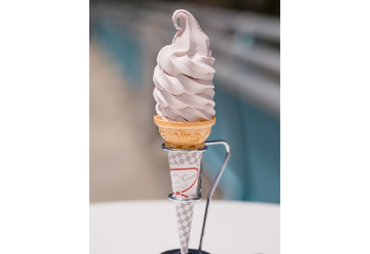 黒部ダムレストハウス