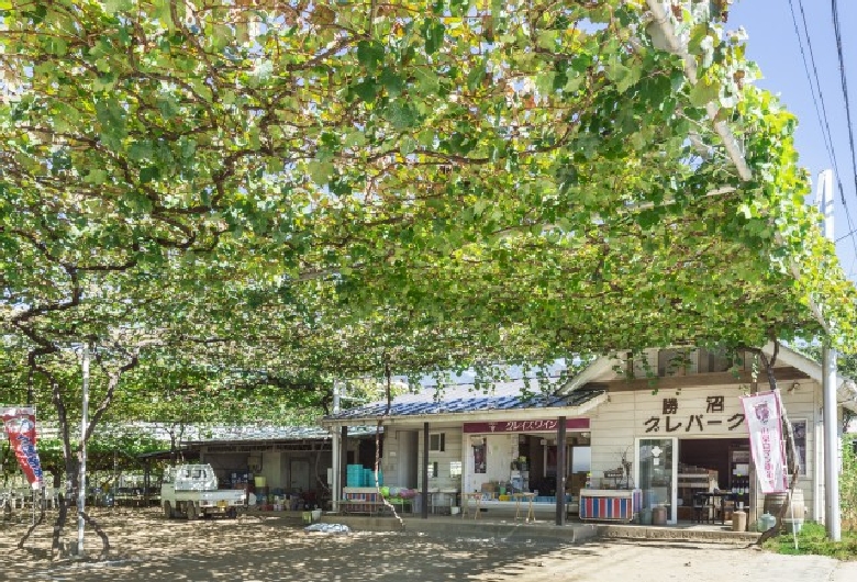 勝沼グレパーク