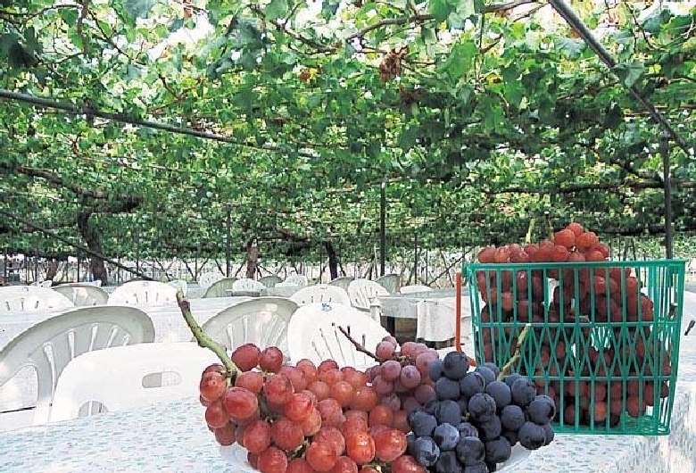 勝沼グレパーク