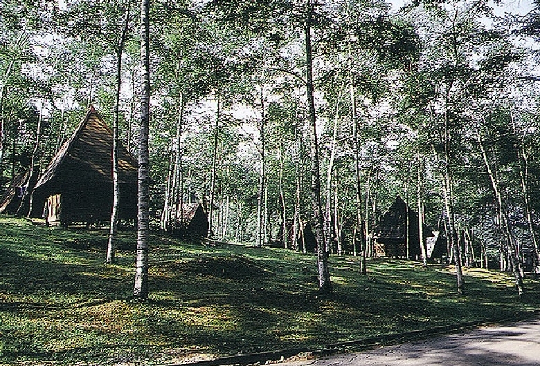 銀河もみじキャンプ場