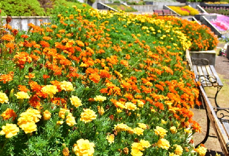 ニューヨークランプミュージアム＆フラワーガーデン