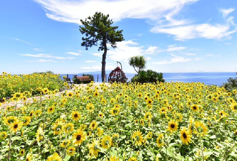 ニューヨークランプミュージアム＆フラワーガーデン