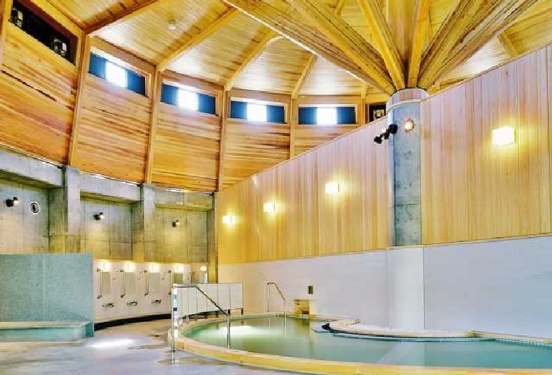 日帰り天然温泉 あらたまの湯