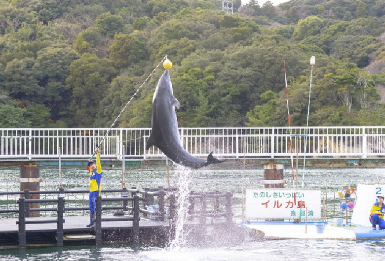 鳥羽湾めぐりとイルカ島